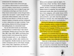 The Brand Gap—Charismatic Brands