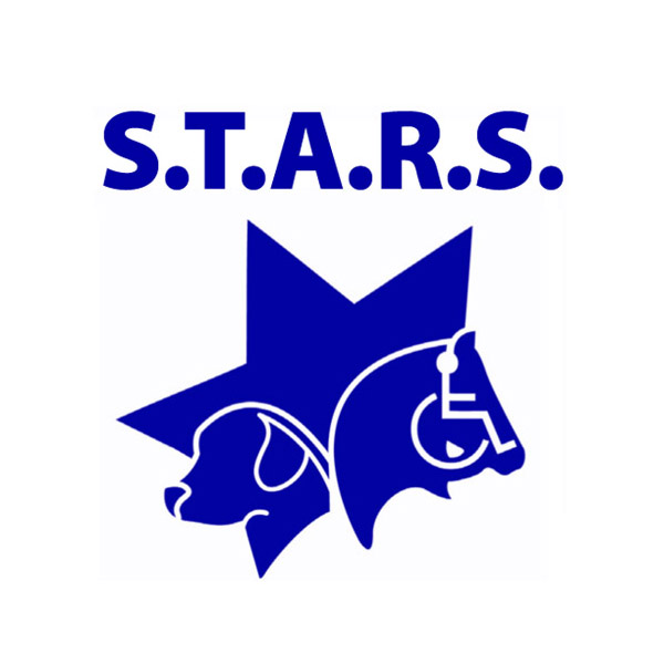 STARS Logo_old